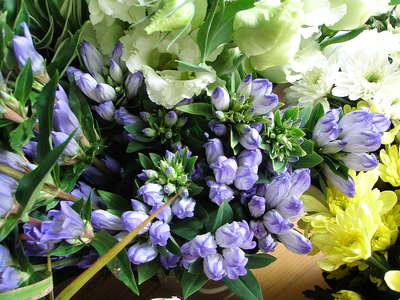 f0007380_165233.jpg