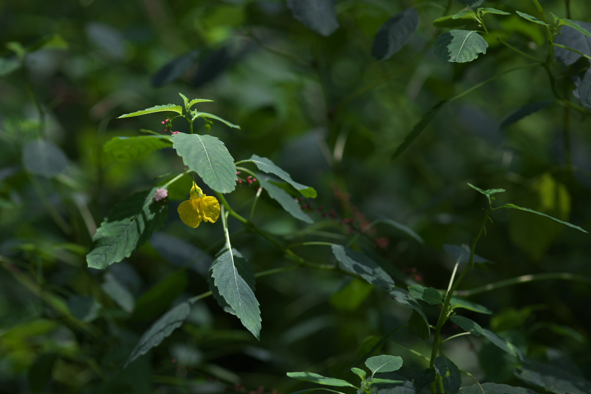 a0083081_1625793.jpg