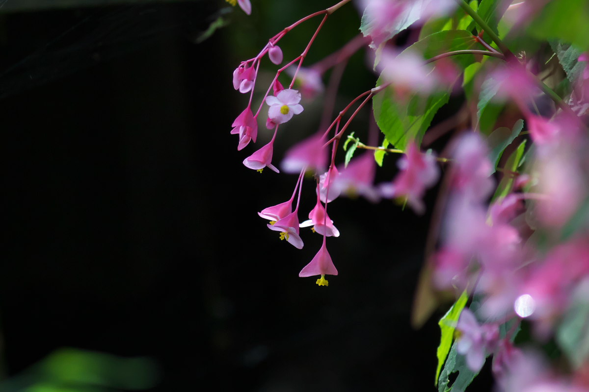 a0083081_1641718.jpg