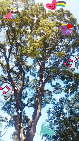 c0122788_05474128.jpg