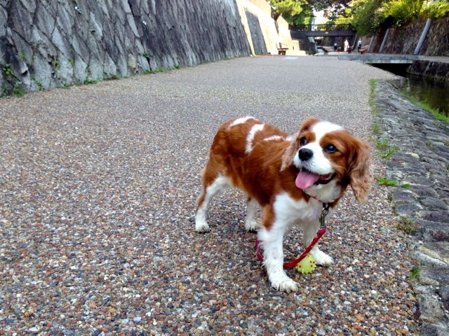 a0079292_21202557.jpg