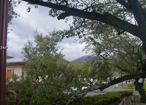 d0053294_0505376.jpg