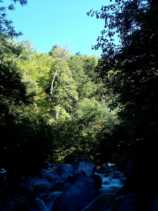 f0129994_16432029.jpg