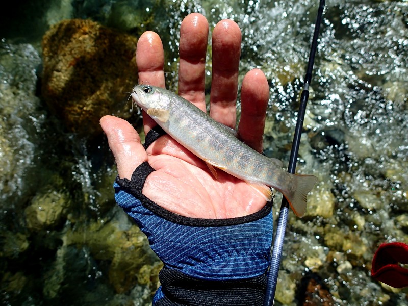 f0129994_16534492.jpg
