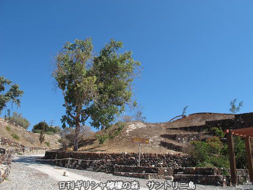 c0010496_17470684.jpg