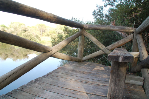 e0061699_02214722.jpg