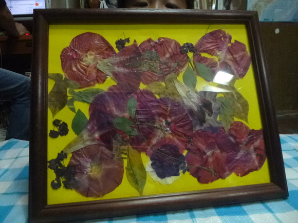 a0018200_14151126.jpg