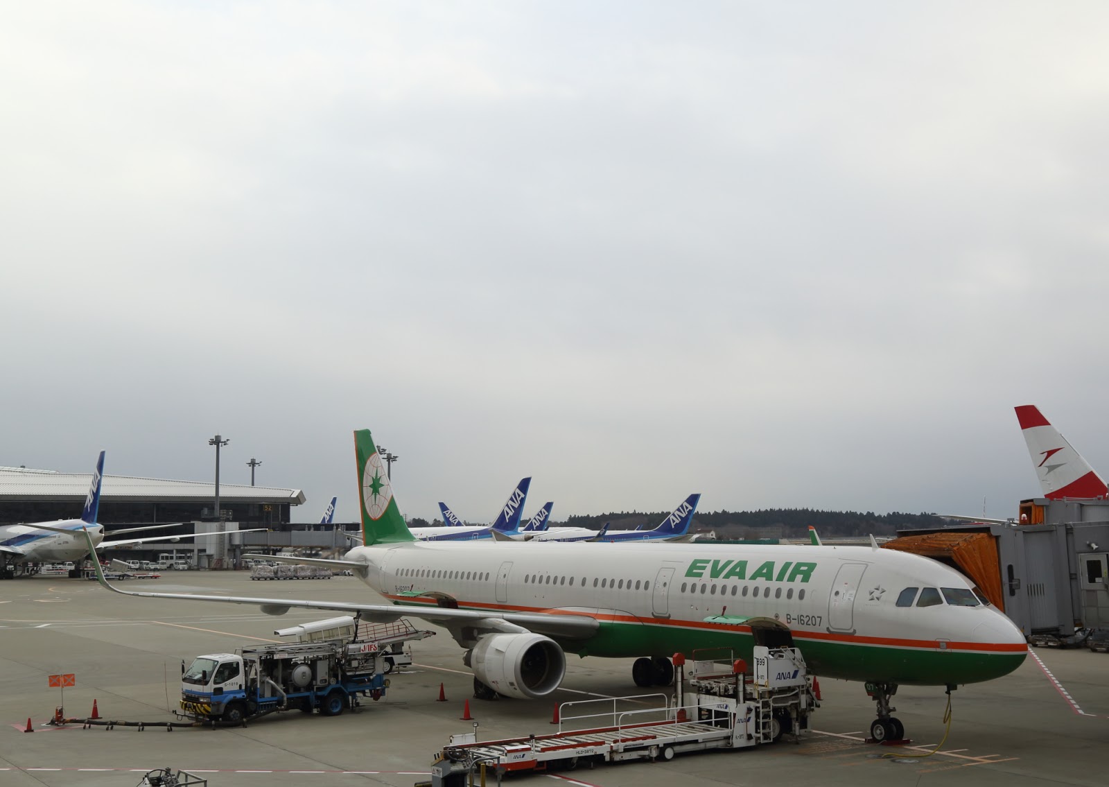 b0349902_2053536.jpg