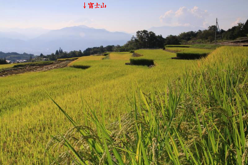 a0188405_06470968.jpg