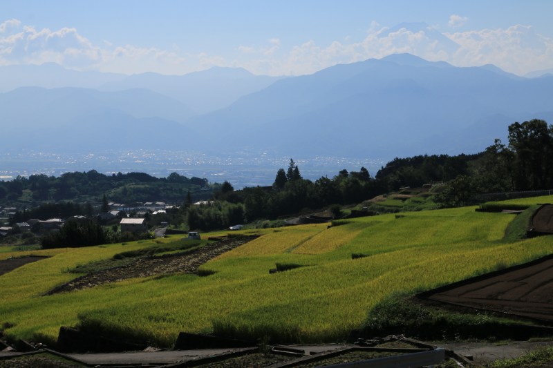 a0188405_06471989.jpg