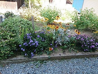 f0096508_1204855.jpg