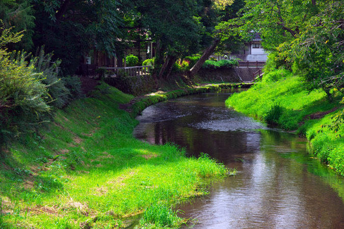 a0263109_10312965.jpg