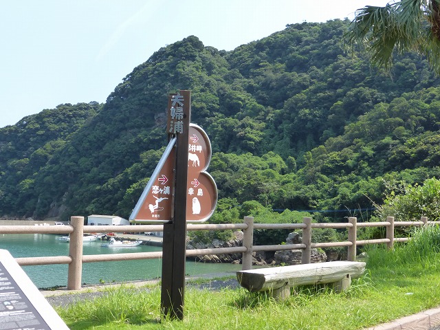 d0037110_18382083.jpg