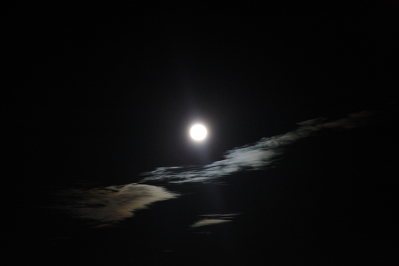 e0000910_16201139.jpg