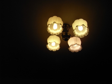 b0309813_1335123.jpg
