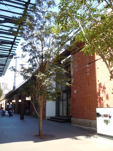 c0101913_1735511.jpg