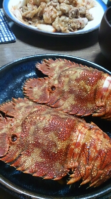 c0117621_23404414.jpg