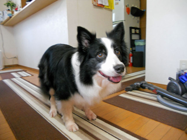 d0059230_829563.jpg