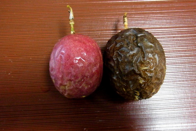 a0017634_10594621.jpg