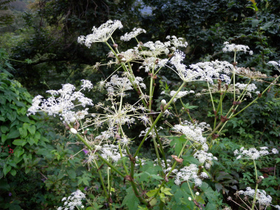 e0272335_22124728.jpg