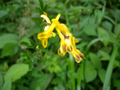 e0272335_22393068.jpg