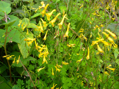 e0272335_22404081.jpg