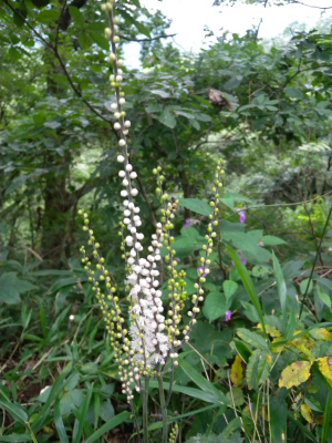 e0272335_2272052.jpg