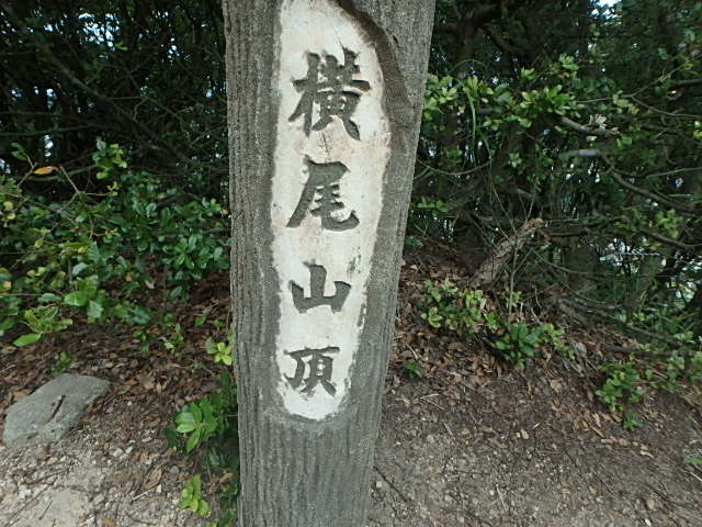 f0334143_22224871.jpg