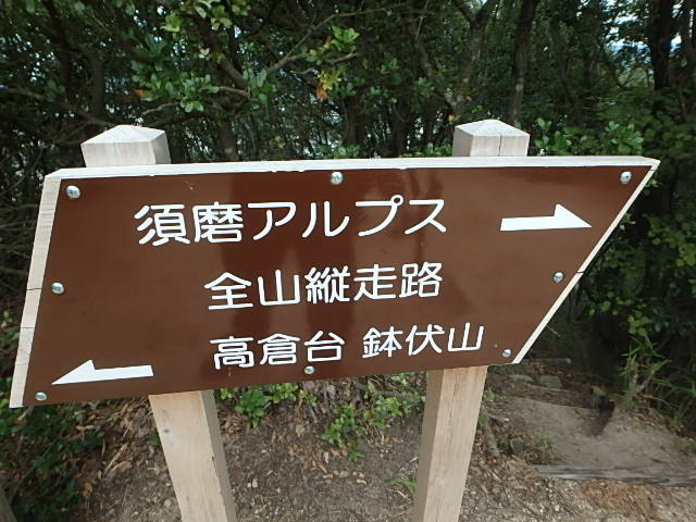 f0334143_2223091.jpg