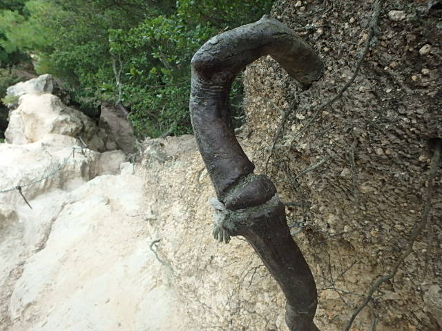f0334143_22275472.jpg