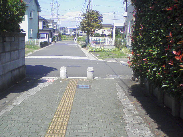 f0153547_1801224.jpg