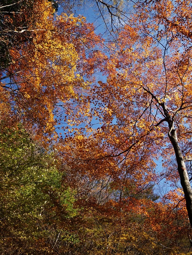 a0286351_14091.jpg