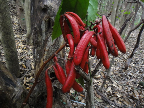 c0179351_1601610.jpg