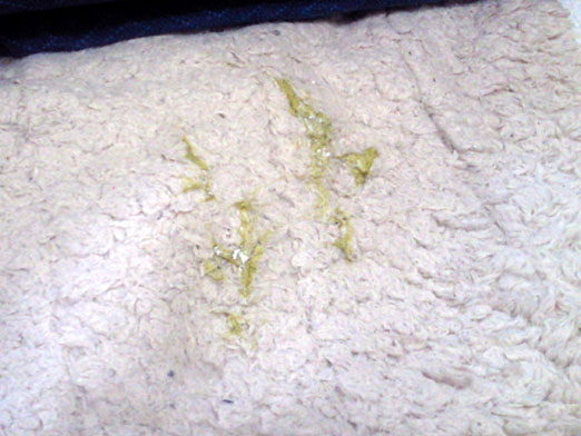 c0039153_1710367.jpg