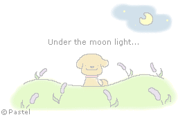 d0031853_20263732.gif