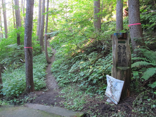 c0116856_1444762.jpg