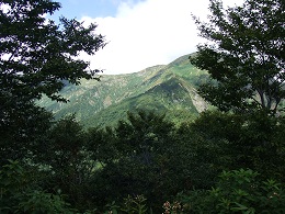 d0299559_10412583.jpg