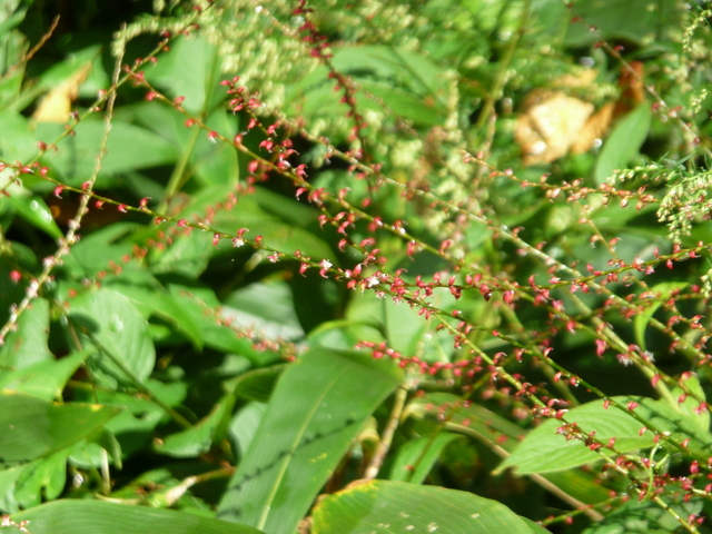 f0208760_16464192.jpg