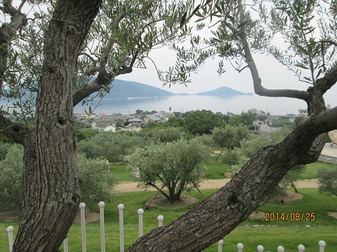 d0029363_14172410.jpg