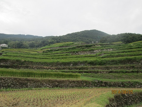 d0029363_16353084.jpg