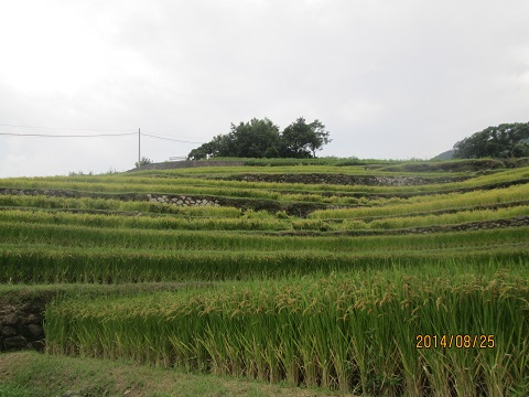d0029363_16354687.jpg