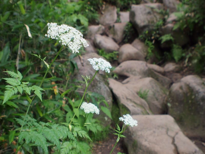 c0321967_18323555.jpg
