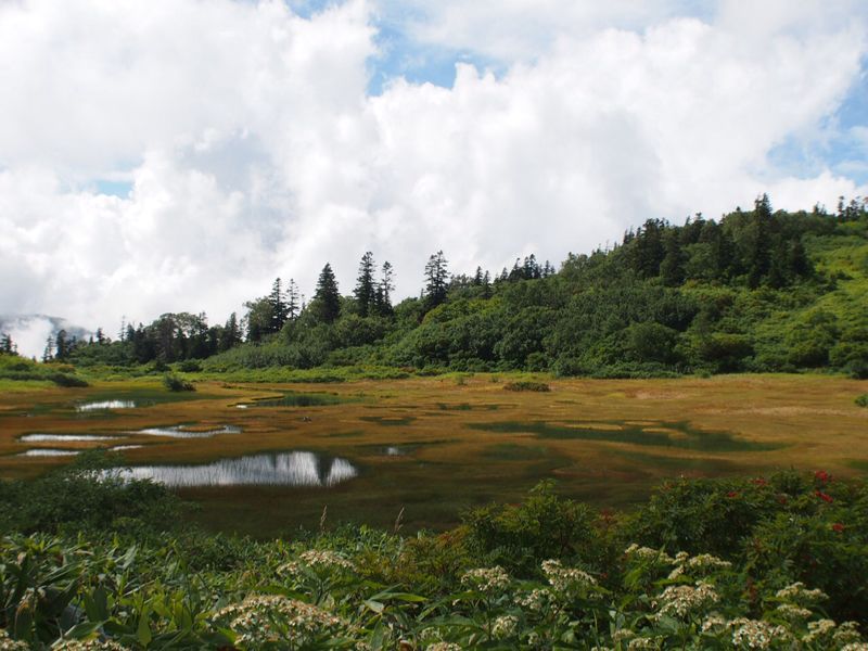 c0321967_18324640.jpg