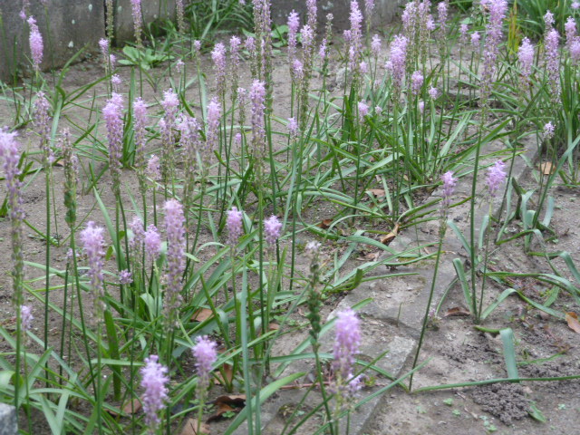 e0278968_22544980.jpg