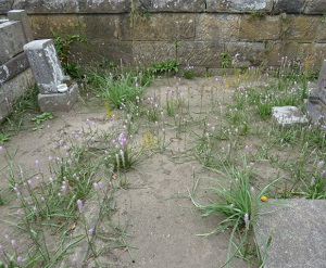 e0278968_22583858.jpg