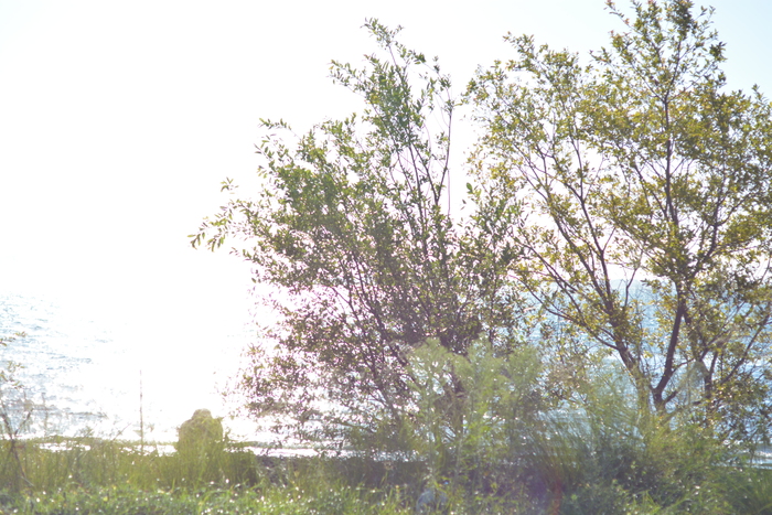 f0211671_04532.jpg
