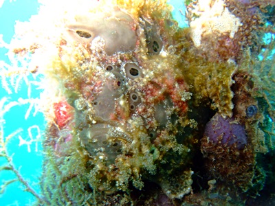 b0033573_00012555.jpg