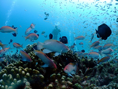 b0033573_00013378.jpg