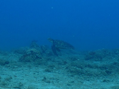 b0033573_00034456.jpg