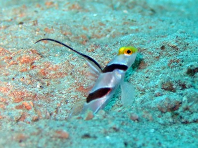 b0033573_00041457.jpg